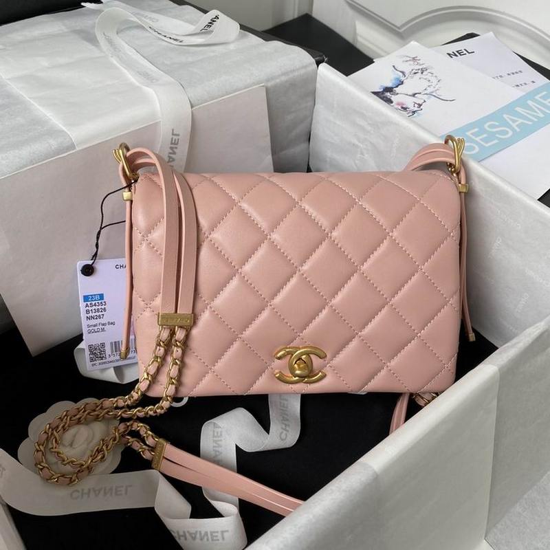 Chanel Handbags 134